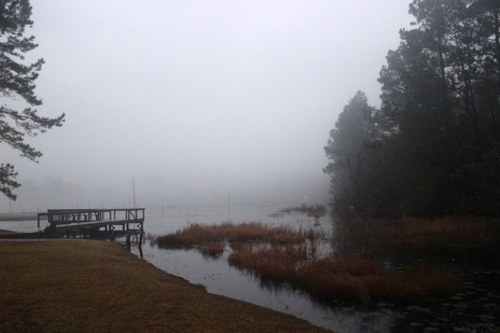 Lake Juniper Fog